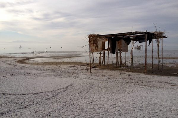 A beach on the Salton Sea.