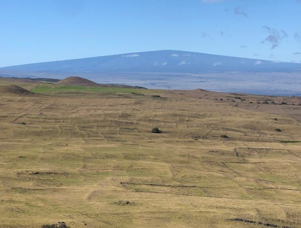 Unearthing the Mysteries of Hawai'i's Ancient Agriculture