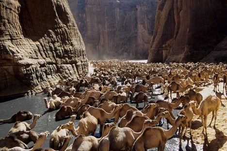 Guelta d'Archei.