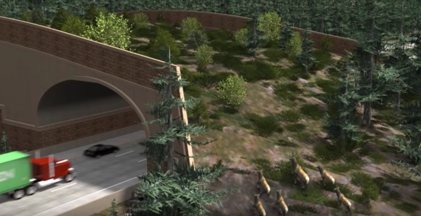 In this artist's rendering, the I-90 overpass closely resembles the habitats on either side.