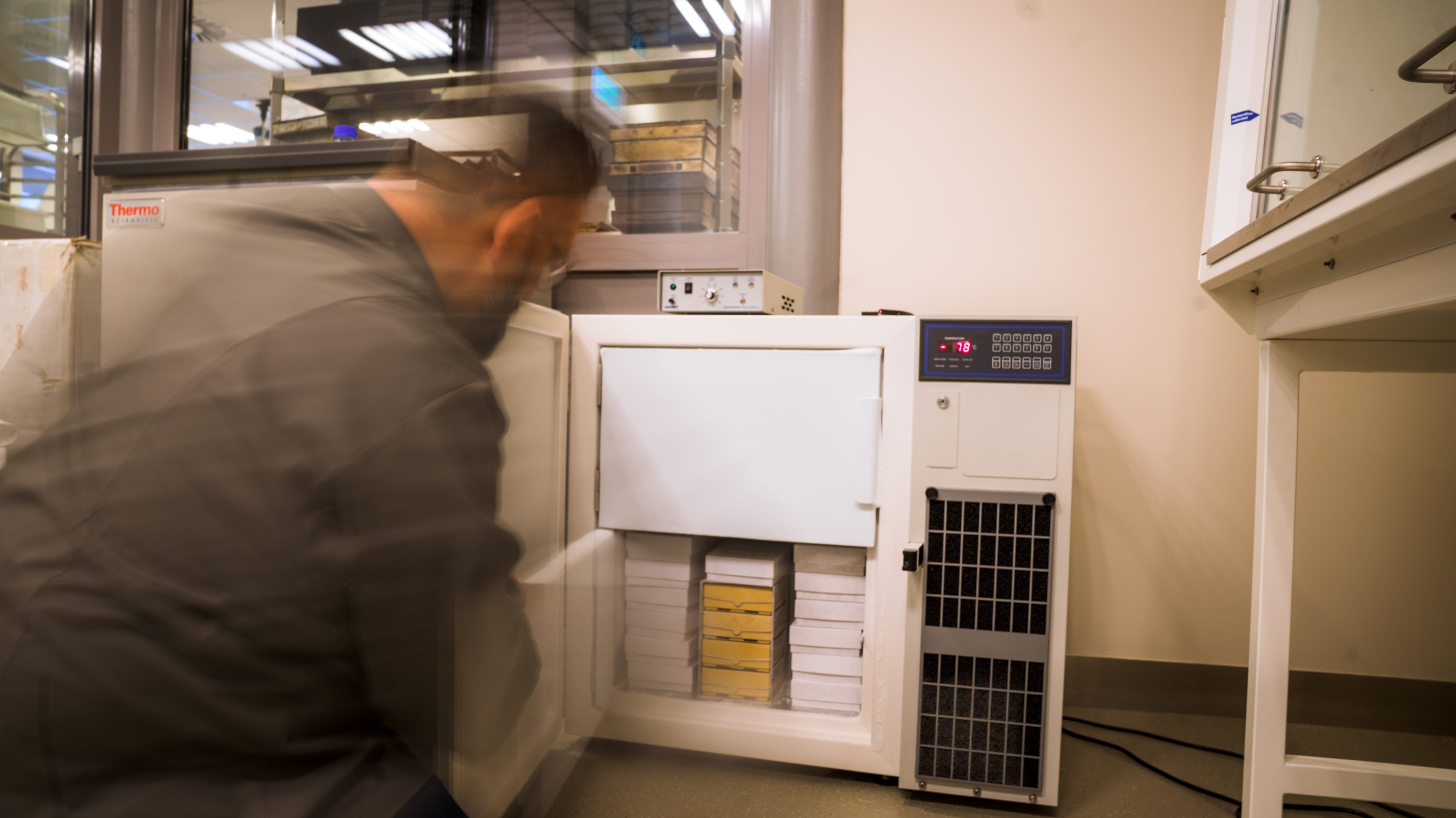 The library freezes microbial strains from sourdoughs at -80 degrees °C.