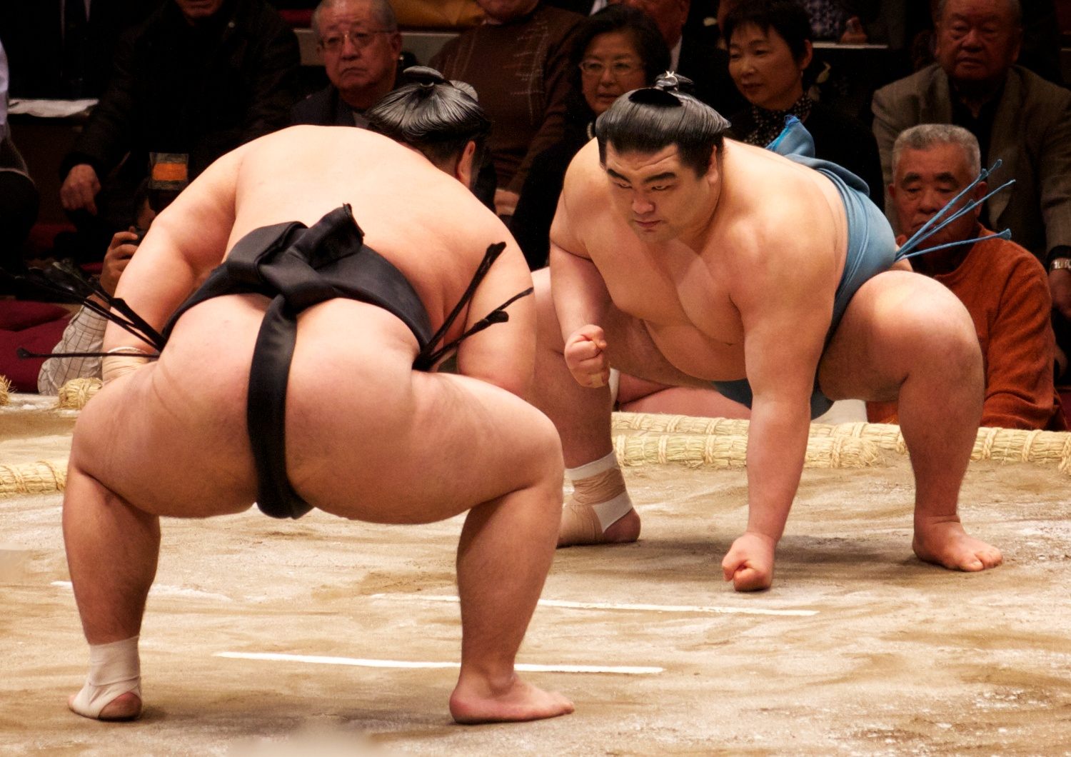 The Structure of Sumo Wrestling