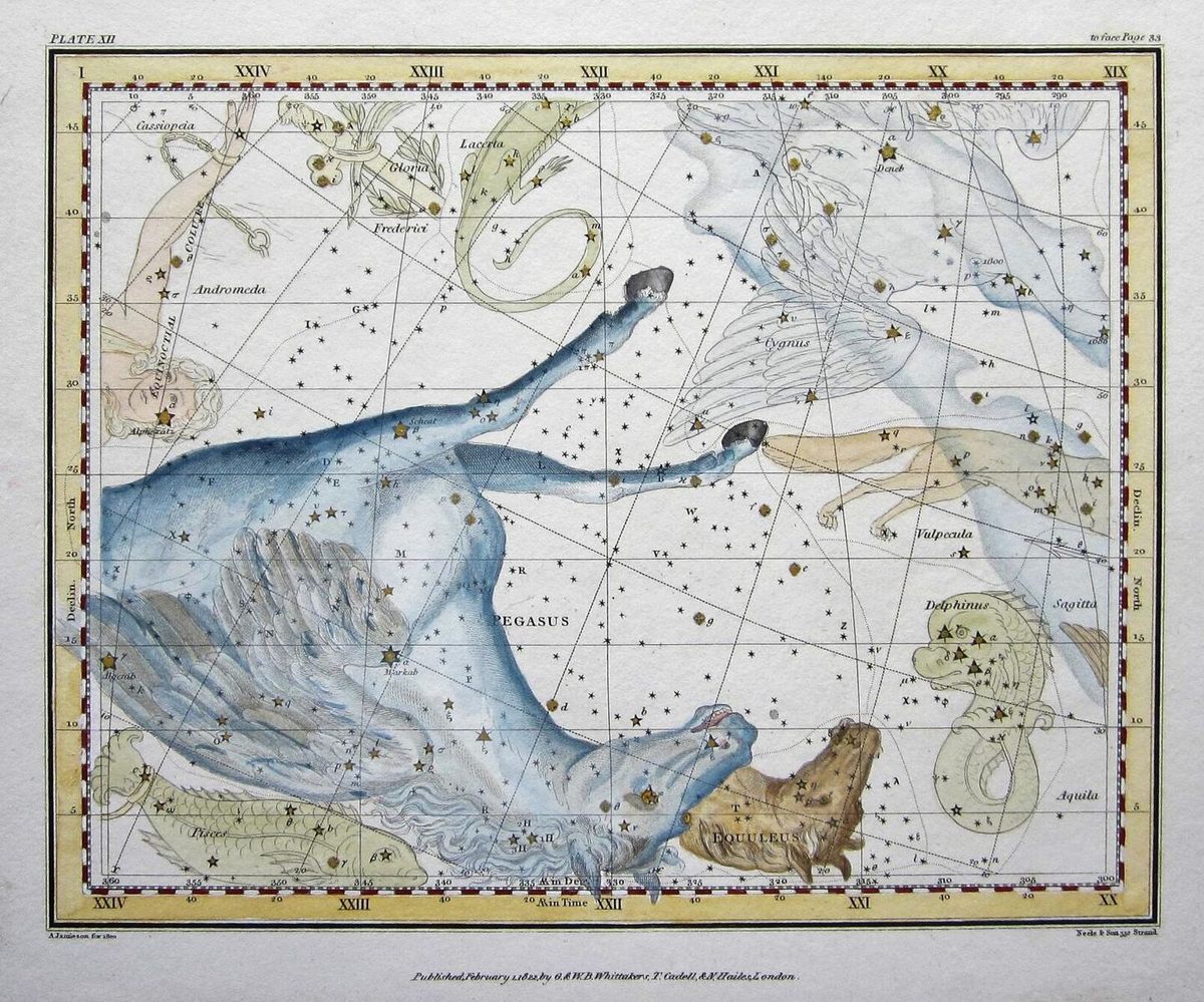 <em>Pegasus</em> shared its portion of the sky with a virtual menagerie.