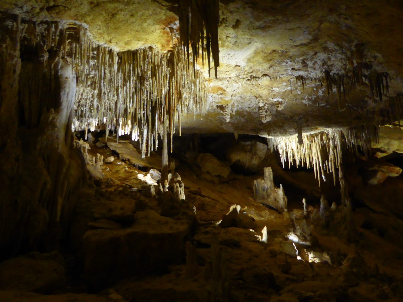 Part of the Victoria Fossil Cave network, where the prehistoric marsupials were found.