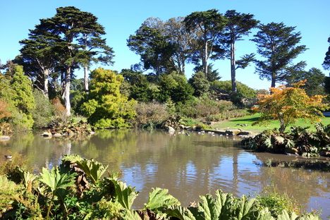 San Francisco Botanical Garden