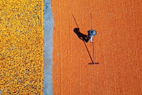 An aerial view of a villager spreading corn grains to dry on the ground at Heixi town in Chongqing, China.