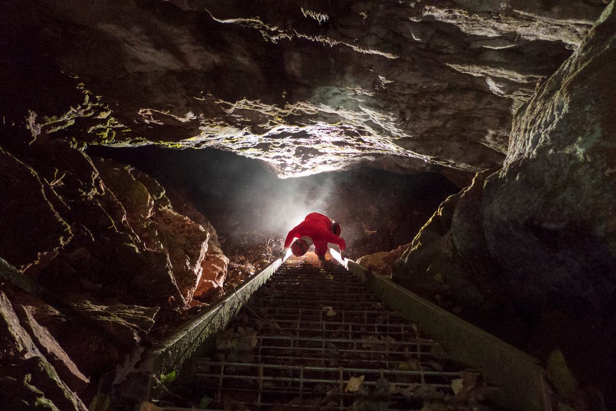 A 30-foot ladder descends into the yawning mouth of Shelta Cave.