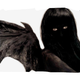 mothginny profile photo