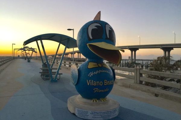 Blue Bird on the Pier