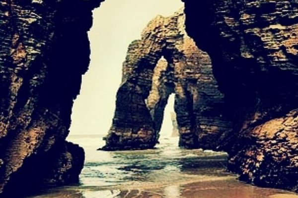 Nature’s flying buttresses, lined up as far as the eye can see