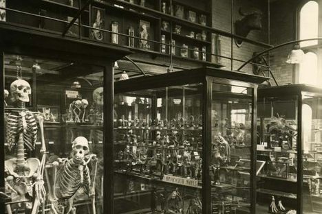 Alfred Denny Museum in the 1930s