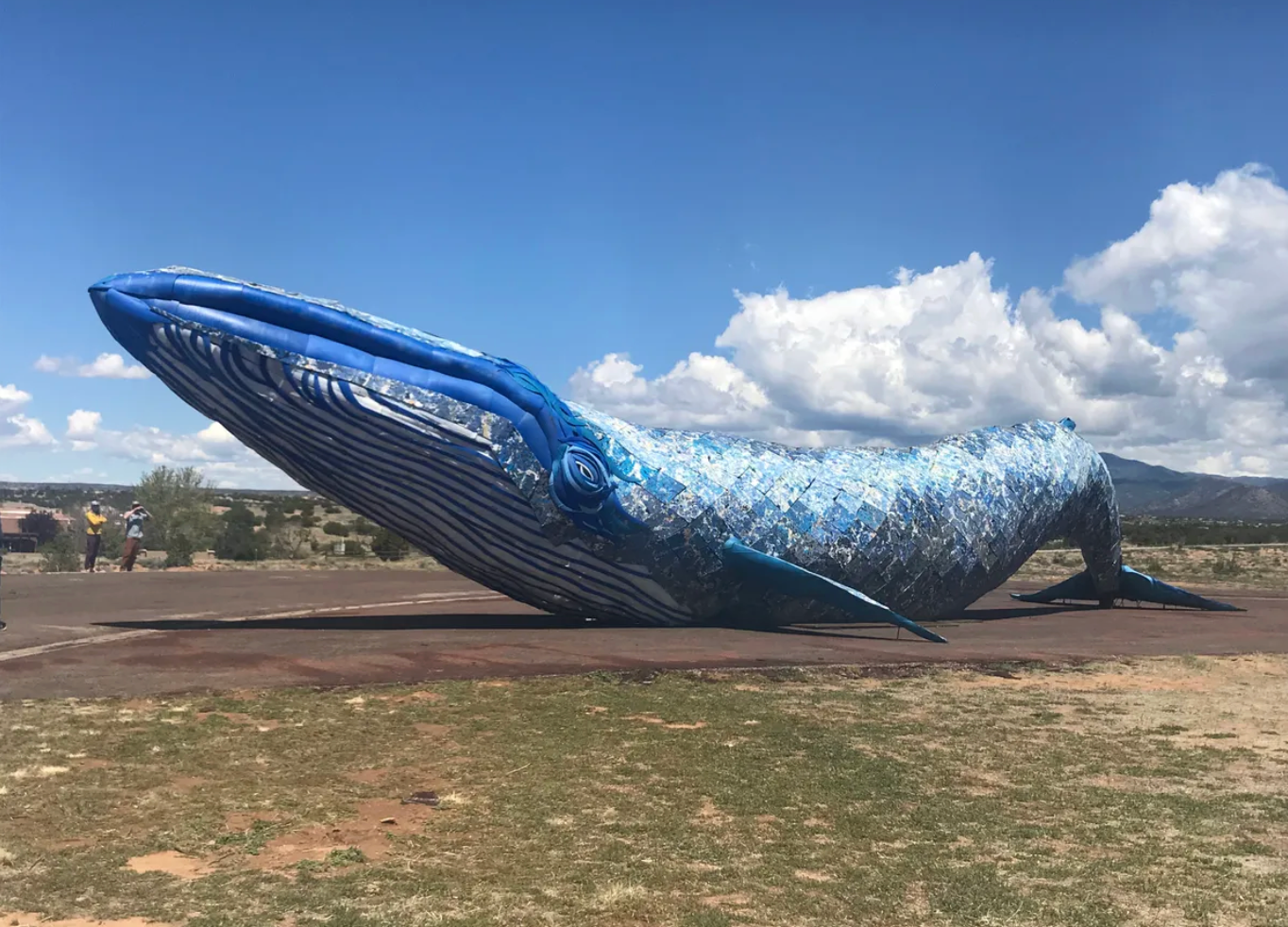 The plastic used to create the whale represents one person’s average plastic trail by age 20.