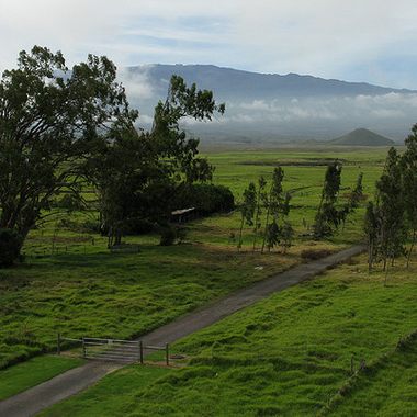 Parker Ranch 