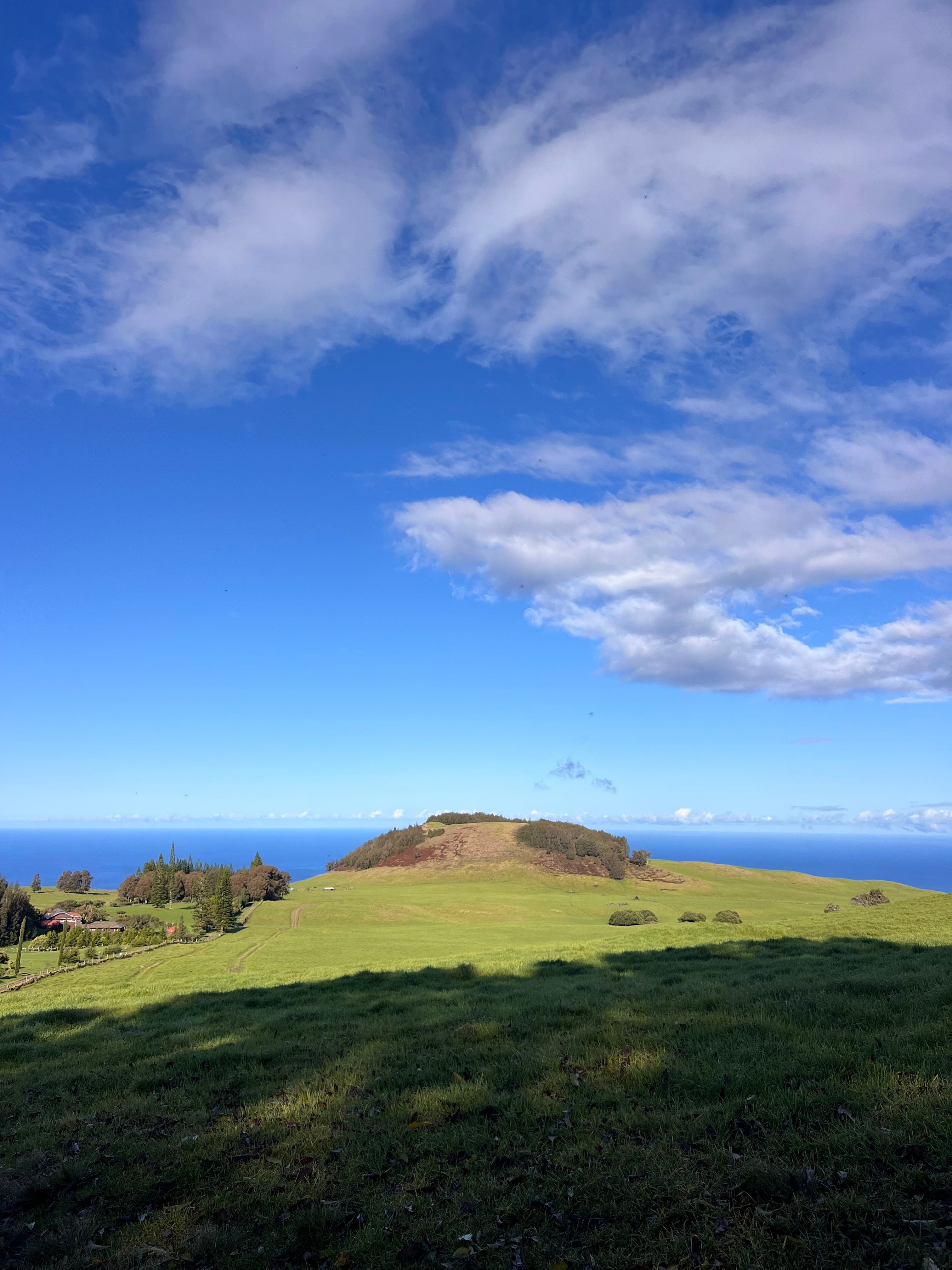 To get a bird's-eye view of the Kōhala Field System, we hiked to the top of the distant hill, Pu’u Kehena.