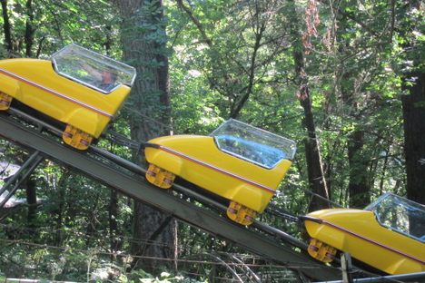 The Ice Mountain bobsled roller coaster.