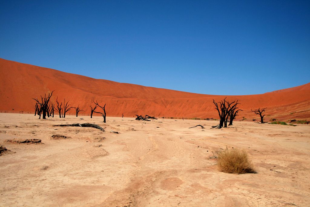 Dead Vlei Namib Desert