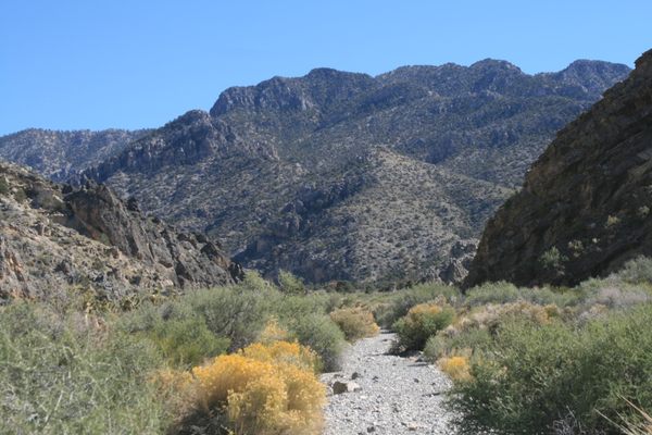 Up the canyon, but still below the forest zones.