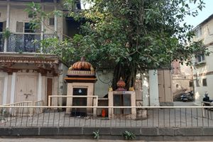 The temple and the tree at the square.