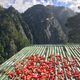 Chili peppers laying out on a rooftop to dry, with Tiger's Nest in the background.