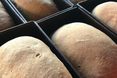 Jackson's Rēwena Bread