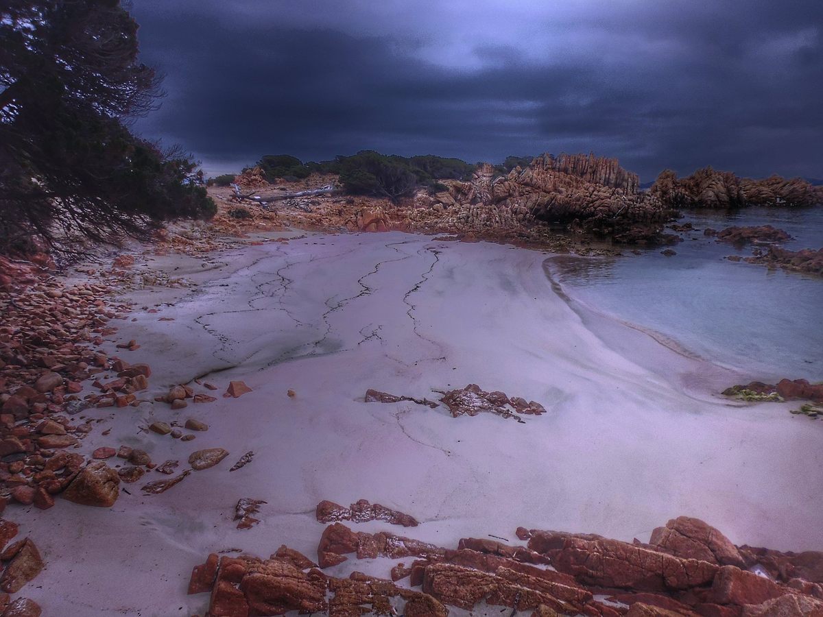 Budelli's famous pink beach.