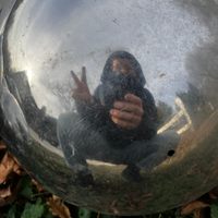 Profile image for Traveling Mey