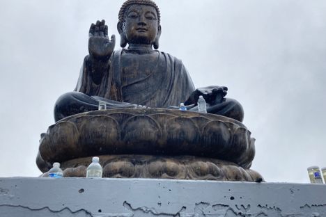 The Buddha of 101 