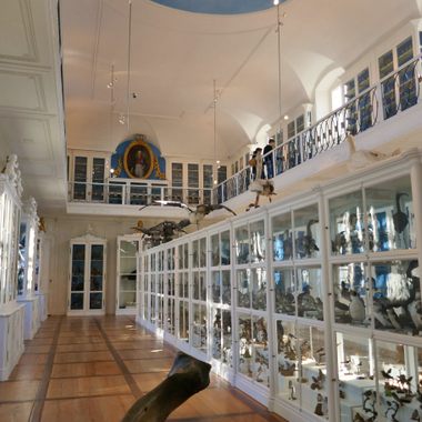 The showcases.