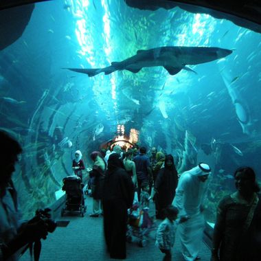 Dubai Mall Aquarium Tunnel