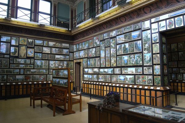 Marianne North Gallery at Kew Gardens