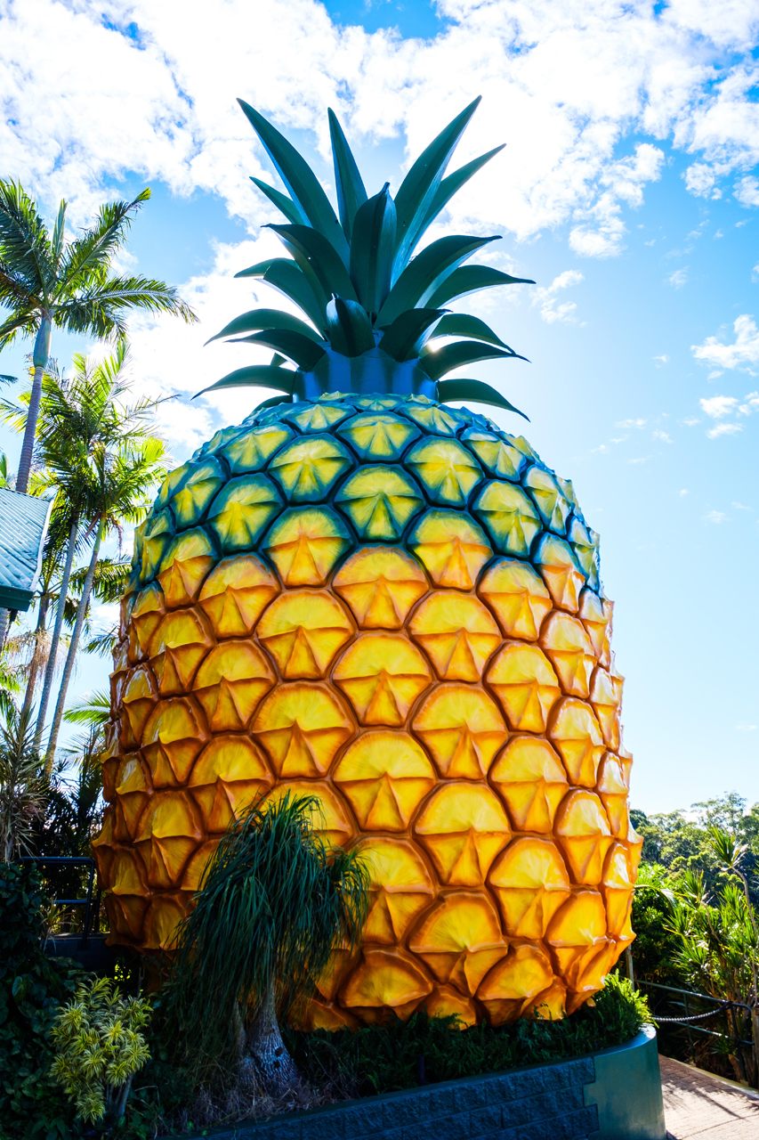 The Big Pineapple, right off the M1, on the Sunshine Coast of Queensland, Australia. 