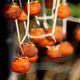 The persimmons hang for weeks.