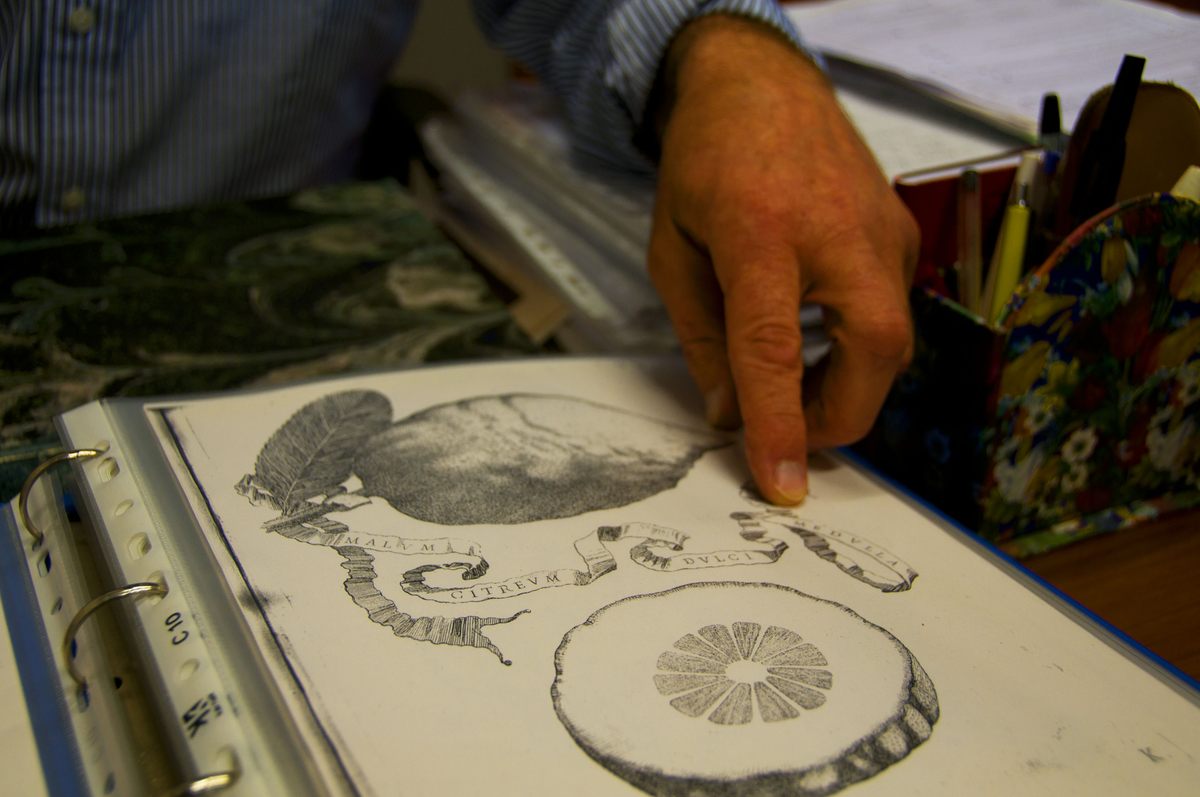 Examining one of the crucial texts where Galeotti made his discoveries.