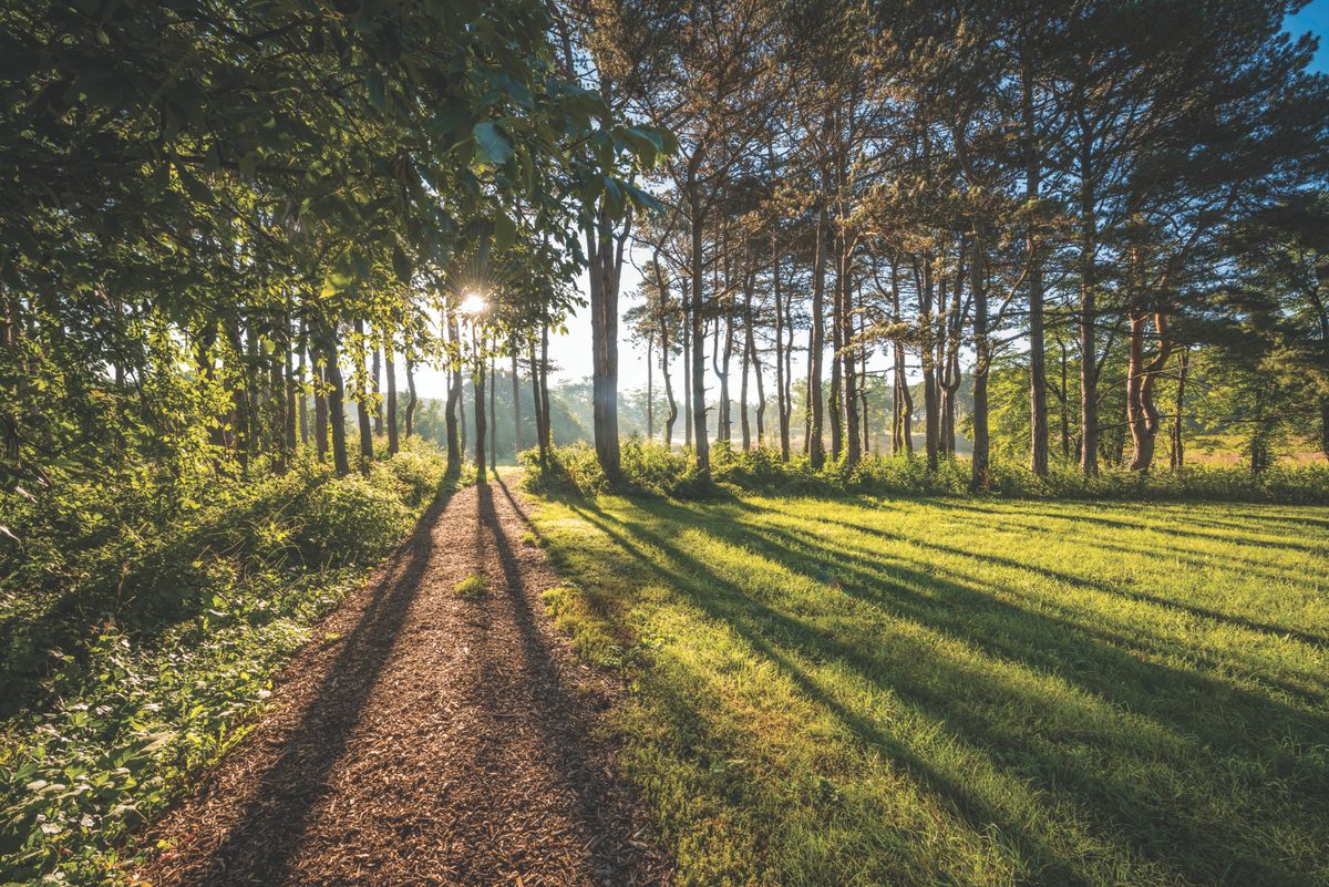 Even with wide-open spaces, staff are being careful to practice social distancing, and wipe down any shared surfaces.