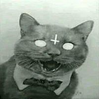 Profile image for moke1313
