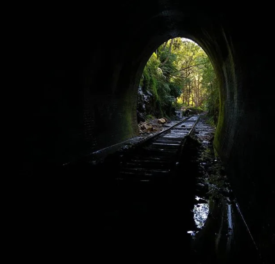 The tunnel is home to  one of the largest glowworm colonies in all of New South Wales.