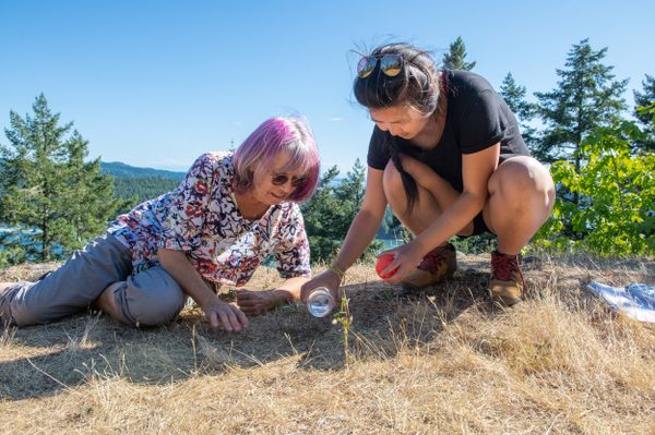 The author, right, and slime mold expert Pam Janszen add water to Triquetrella californica and watch the desiccated moss rehydrate and unfurl.