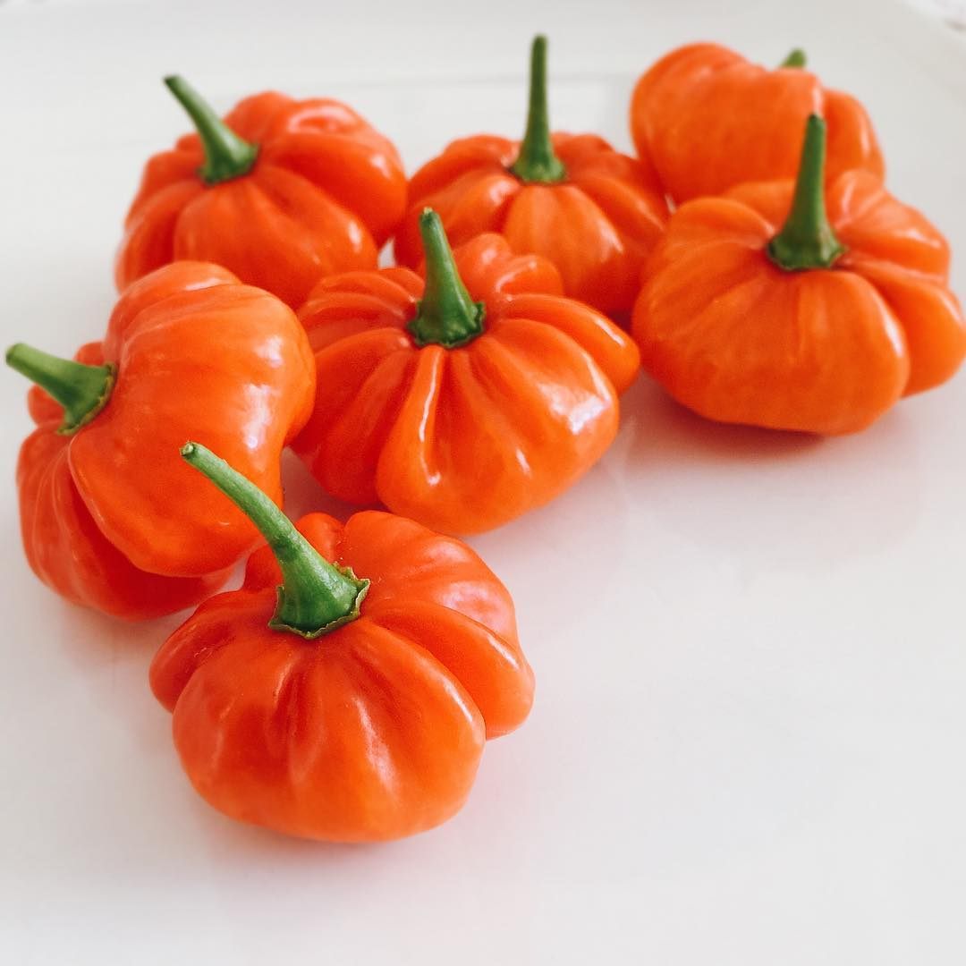 The pumpkin habanero has a citrusy flavor and mild spice.