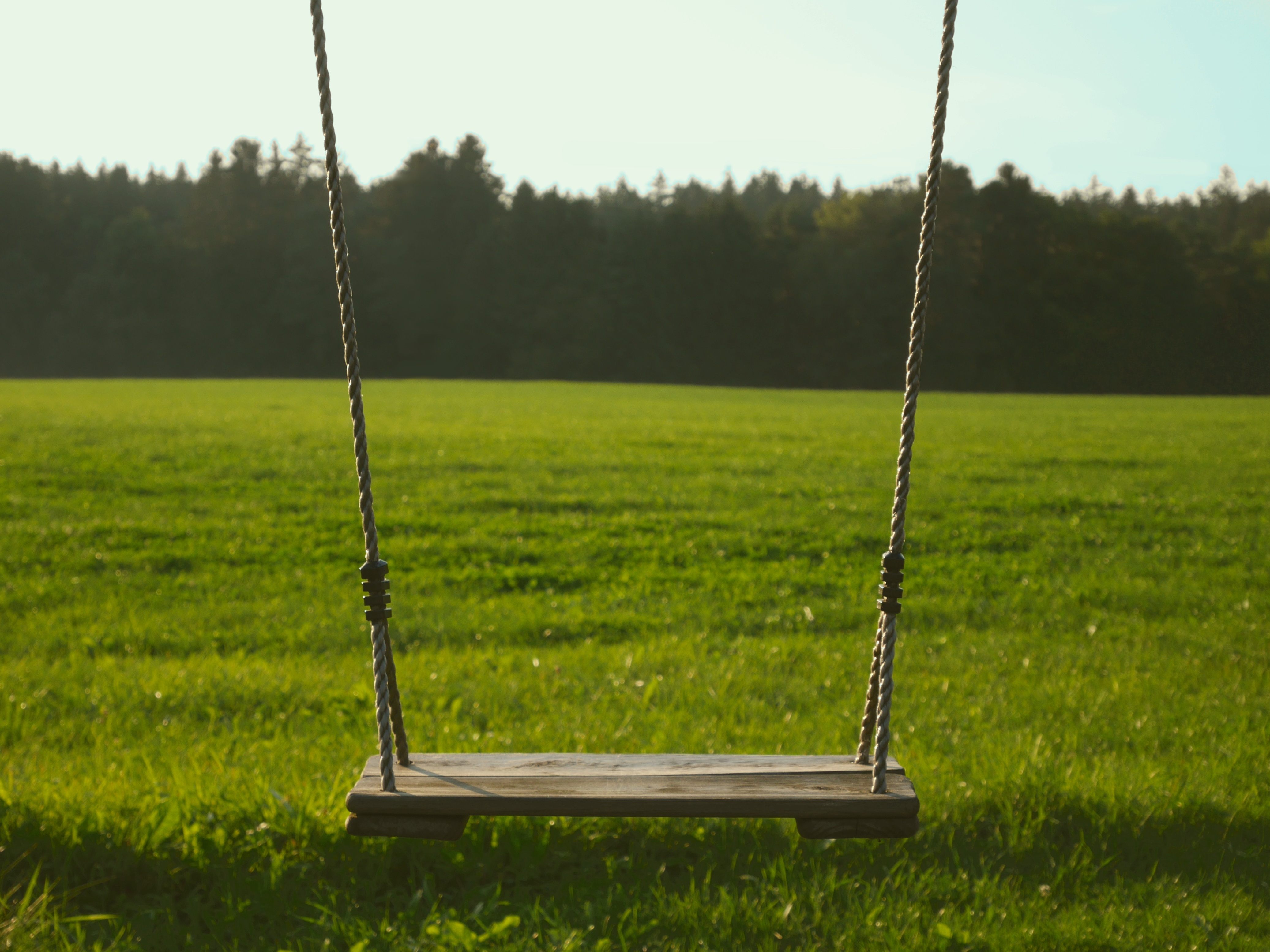 Someone Is Hanging Rope Swings in a Chicago Park - Atlas Obscura