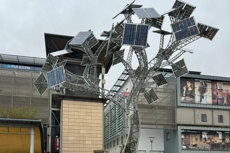 The energy tree 