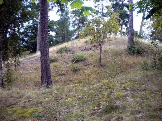 The grave mound of Björn Ironside 