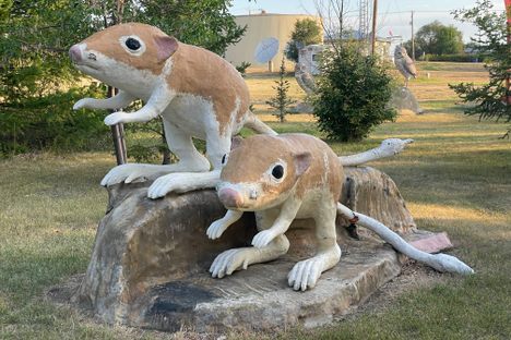 Two kangaroo rats.