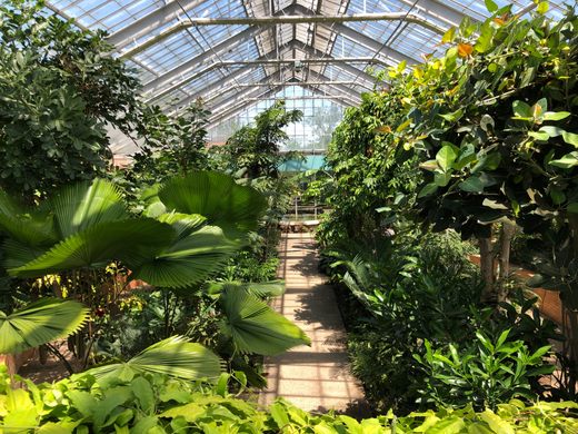 Matthaei Botanical Gardens Ann Arbor