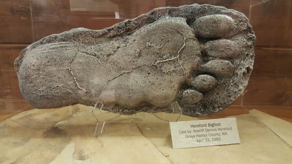 Expedition Bigfoot (The Sasquatch Museum)