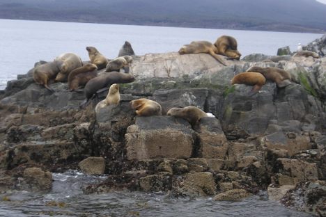 Isla de Lobos
