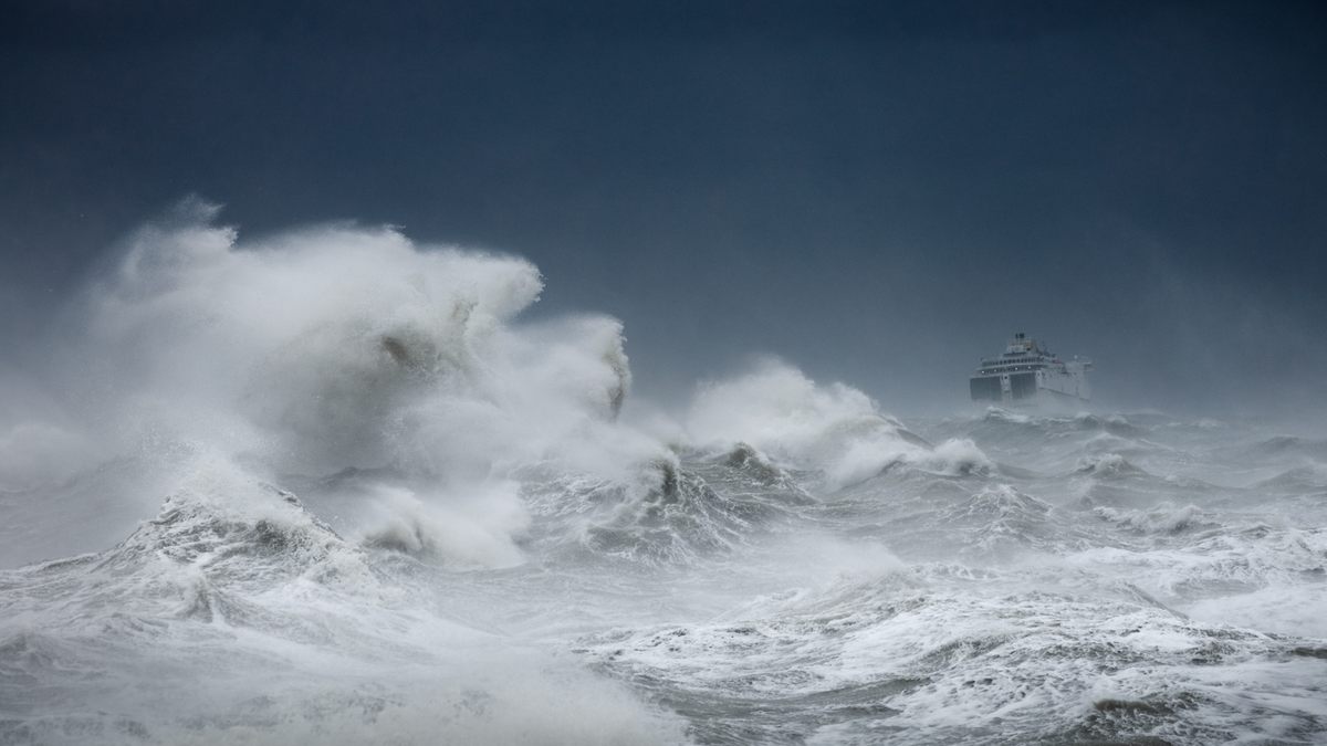 <em>Charybdis</em>.