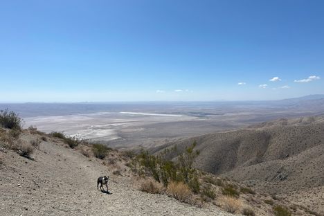 Burro Schmidt Tunnel