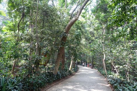 The park.