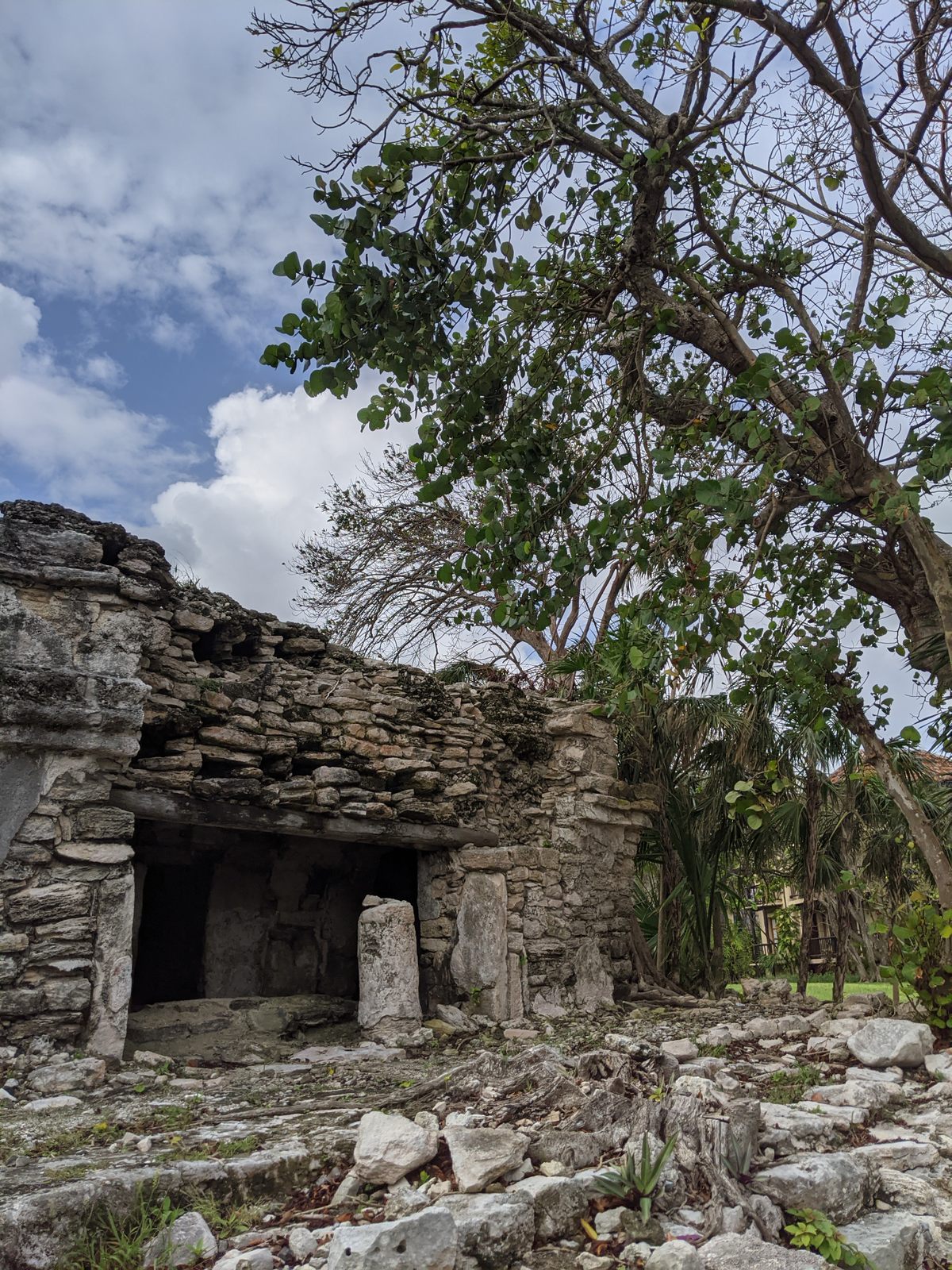 atlas obscura playa del carmen