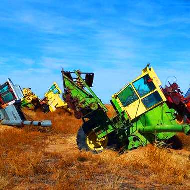 Combine City has 14 "planted" combine tractors...